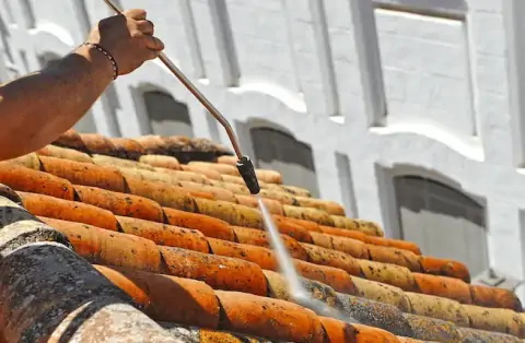 Nettoyage de toitures - Cordelle